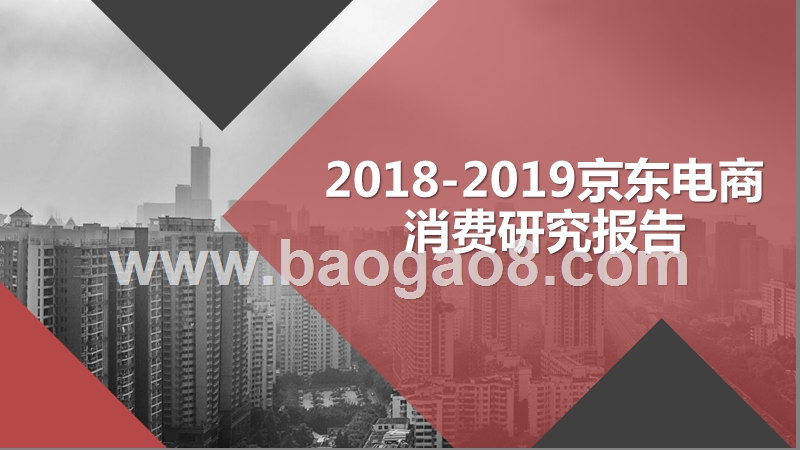 2018-2019京东电商消费研究报告.pptx_第1页