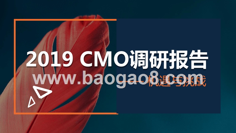 2019年CMO调研报告.pptx_第1页
