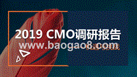 2019年CMO调研报告.pptx