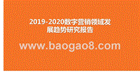 2019-2020数字营销领域发展趋势研究报告.pptx