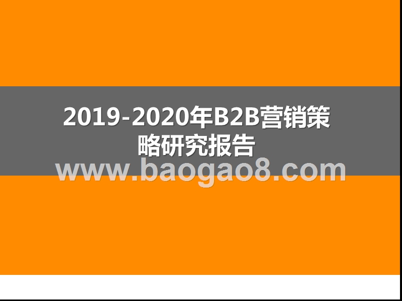2019-2020年B2B营销策略研究报告.pptx_第1页
