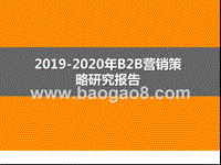 2019-2020年B2B营销策略研究报告.pptx
