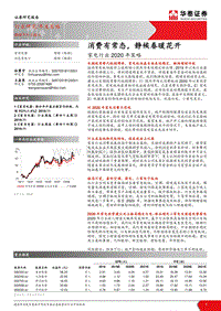 家电行业2020年策略：消费有常态，静候春暖花开.pdf
