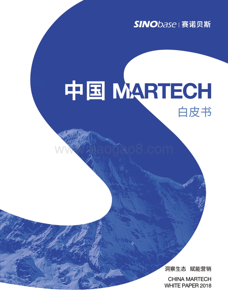 中国Martech白皮书.pdf_第1页