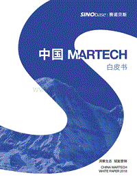 中国Martech白皮书.pdf