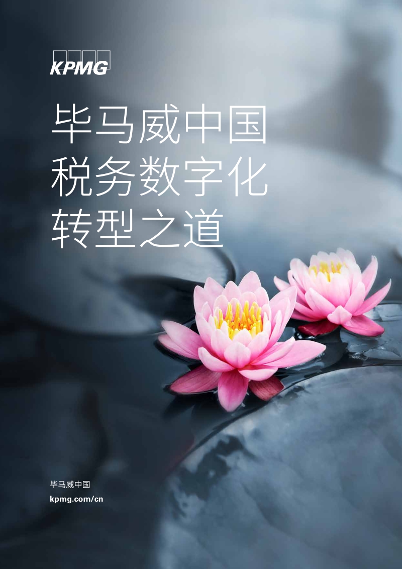中国税务数字化转型之道.pdf_第1页