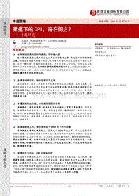 猪瘟下的CPI，路在何方？.pdf