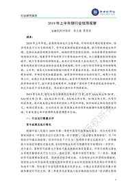 2019年上半年银行业信用观察.pdf