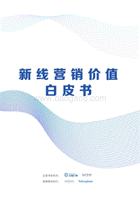 新线营销价值白皮书.pdf