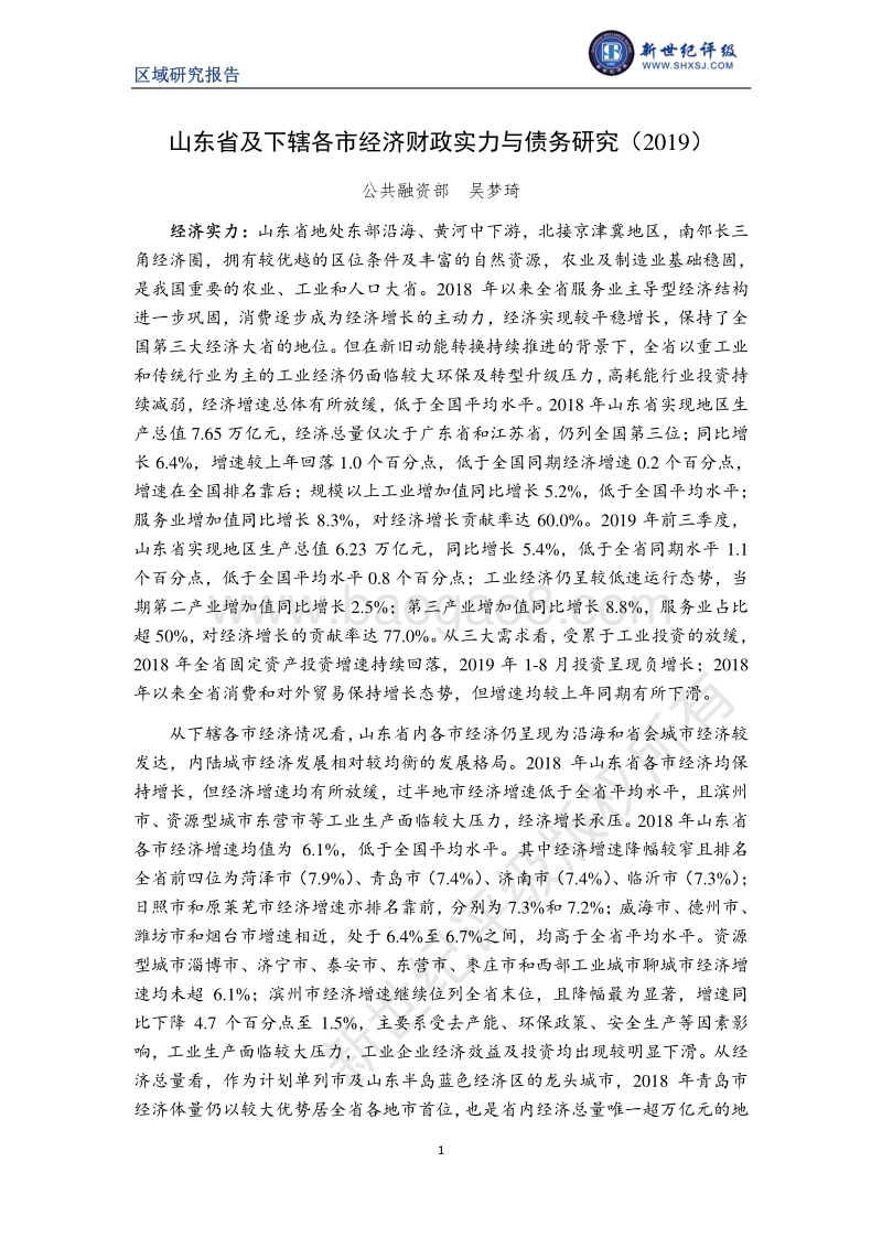 2019山东省及下辖各市经济财政实力与债务研究.pdf_第1页