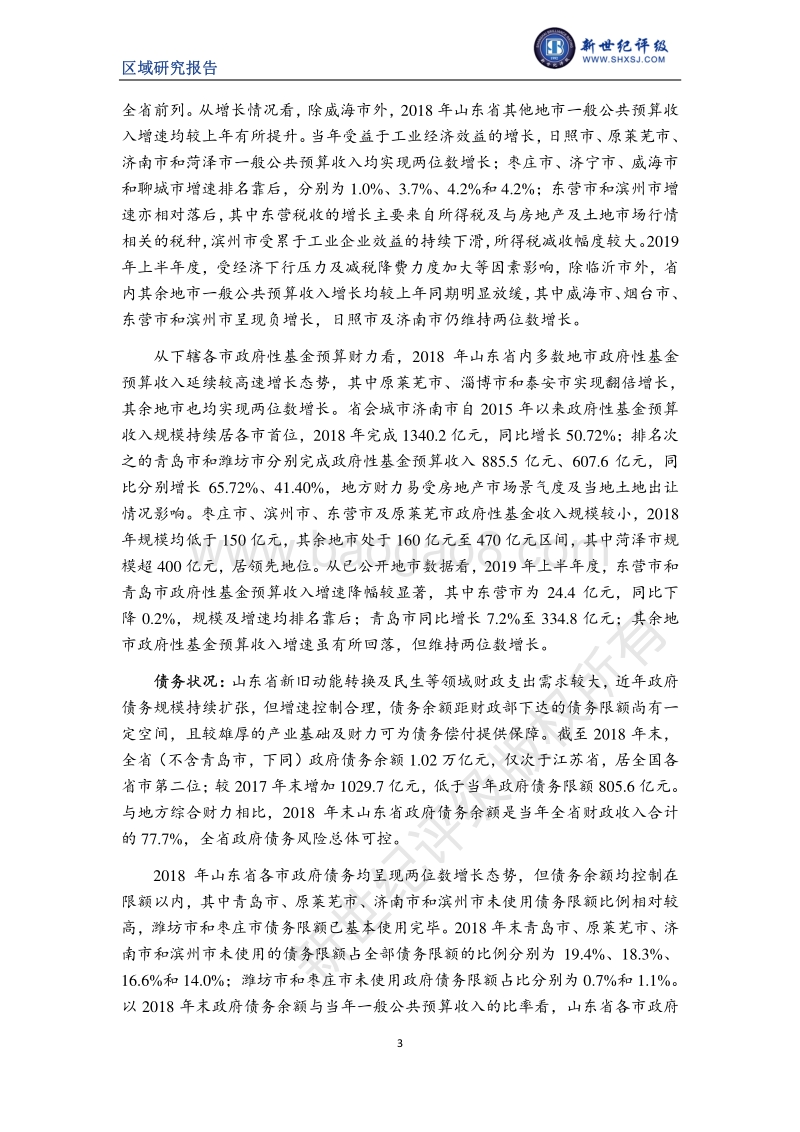 2019山东省及下辖各市经济财政实力与债务研究.pdf_第3页