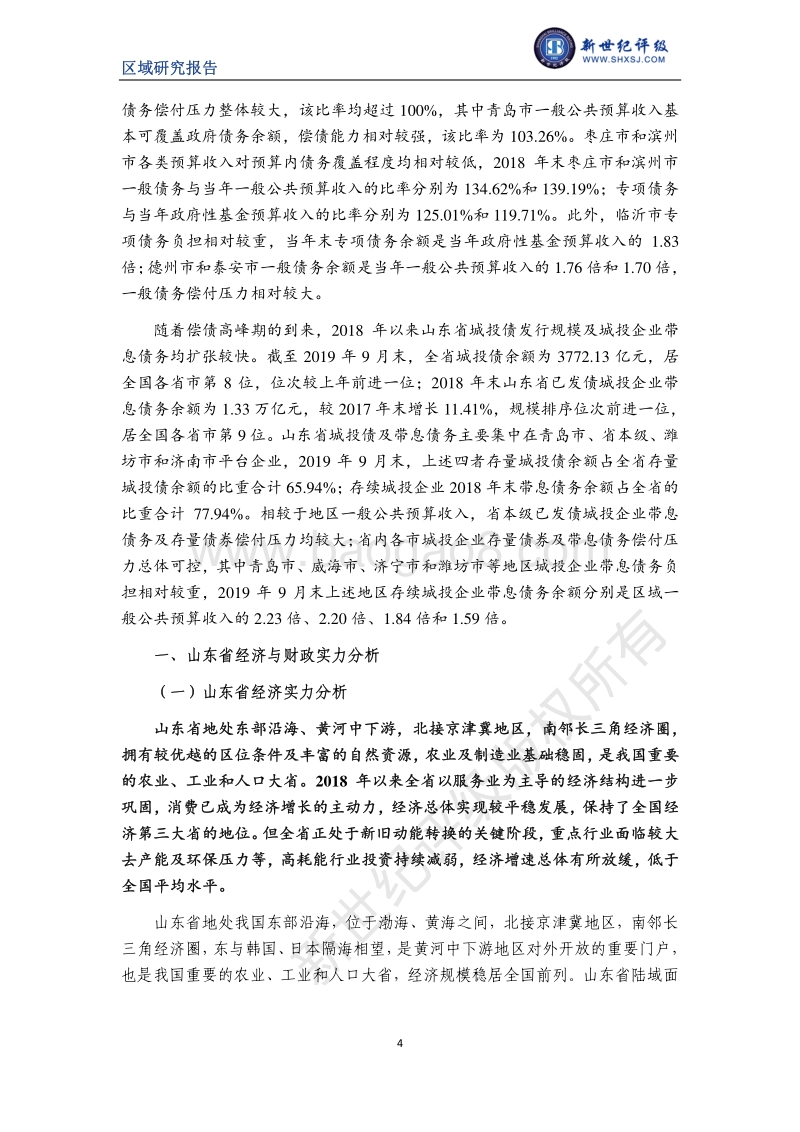 2019山东省及下辖各市经济财政实力与债务研究.pdf_第4页