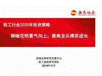 轻工行业2020年投资策略：柳暗花明景气向上，聚焦龙头博弈成长.pdf