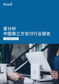 中国第三方支付行业报告.pdf