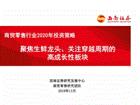 商贸零售行业2020年投资策略：聚焦生鲜龙头、关注穿越周期的高成长性板块.pdf