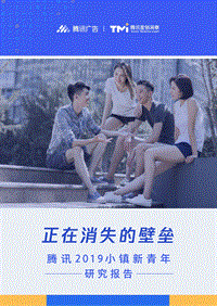 2019小镇新青年研究报告.pdf