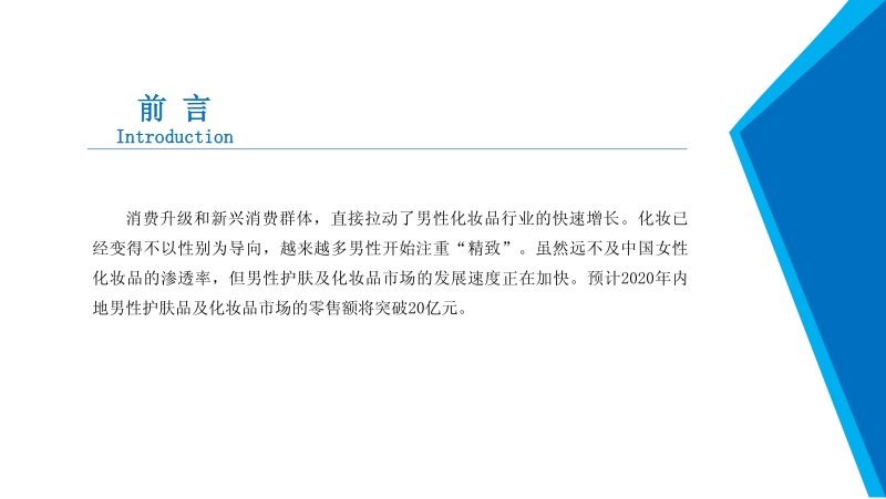 2020年男士化妆品行业市场发展前景及投资研究报告.pdf_第2页