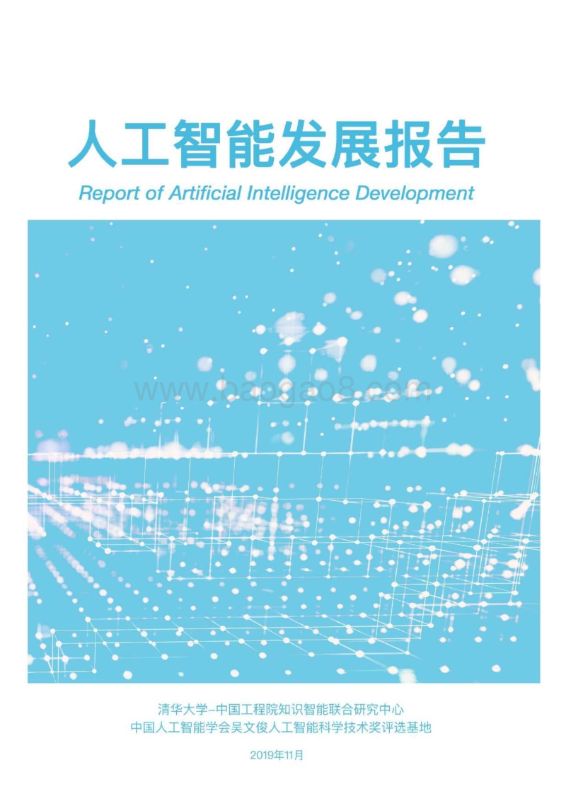 2019人工智能发展报告.pdf_第2页