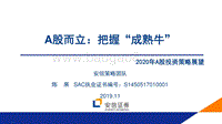 2020年A股投资策略展望：A股而立：把握“成熟牛”.pdf
