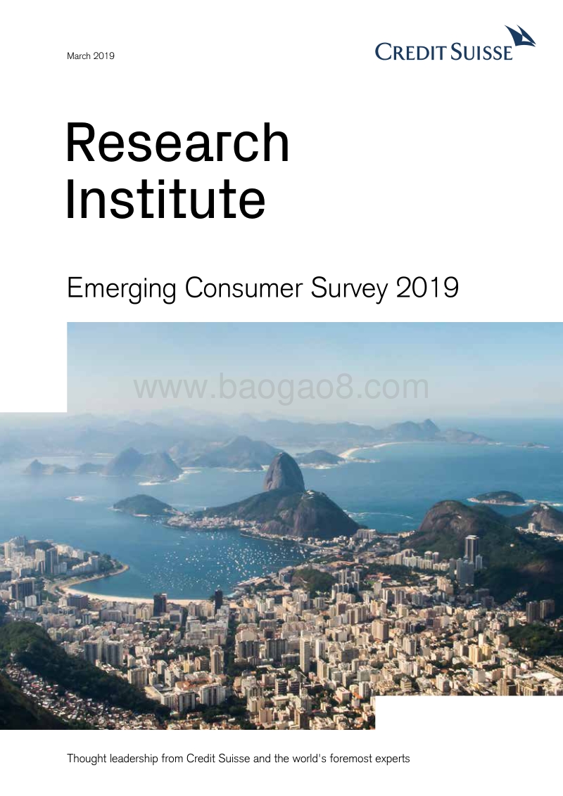 2019年新兴市场消费者调查报告（英文版）.pdf_第1页