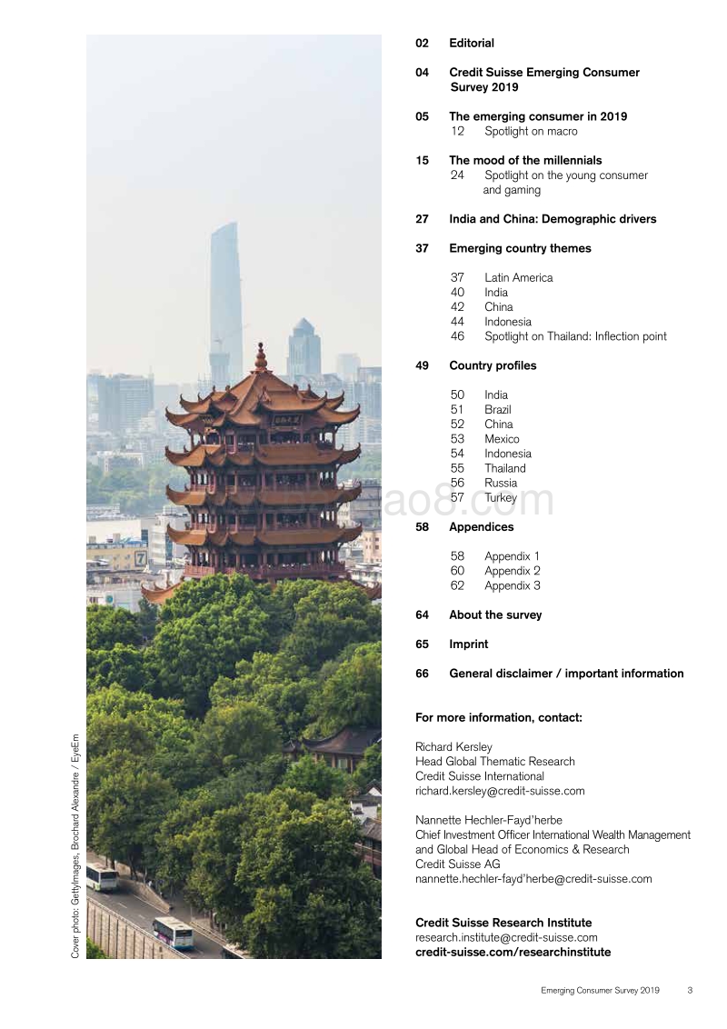 2019年新兴市场消费者调查报告（英文版）.pdf_第3页