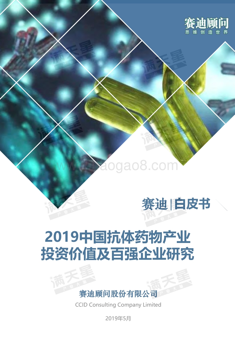 2019中国抗体药物产业投资价值及百强企业研究.pdf_第1页