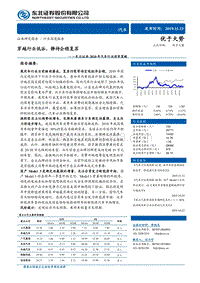2020年汽车行业投资策略：穿越行业低谷，静待企稳复苏.pdf