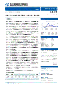 房地产行业2020年度投资策略：业绩为王，潜心耕耘.pdf