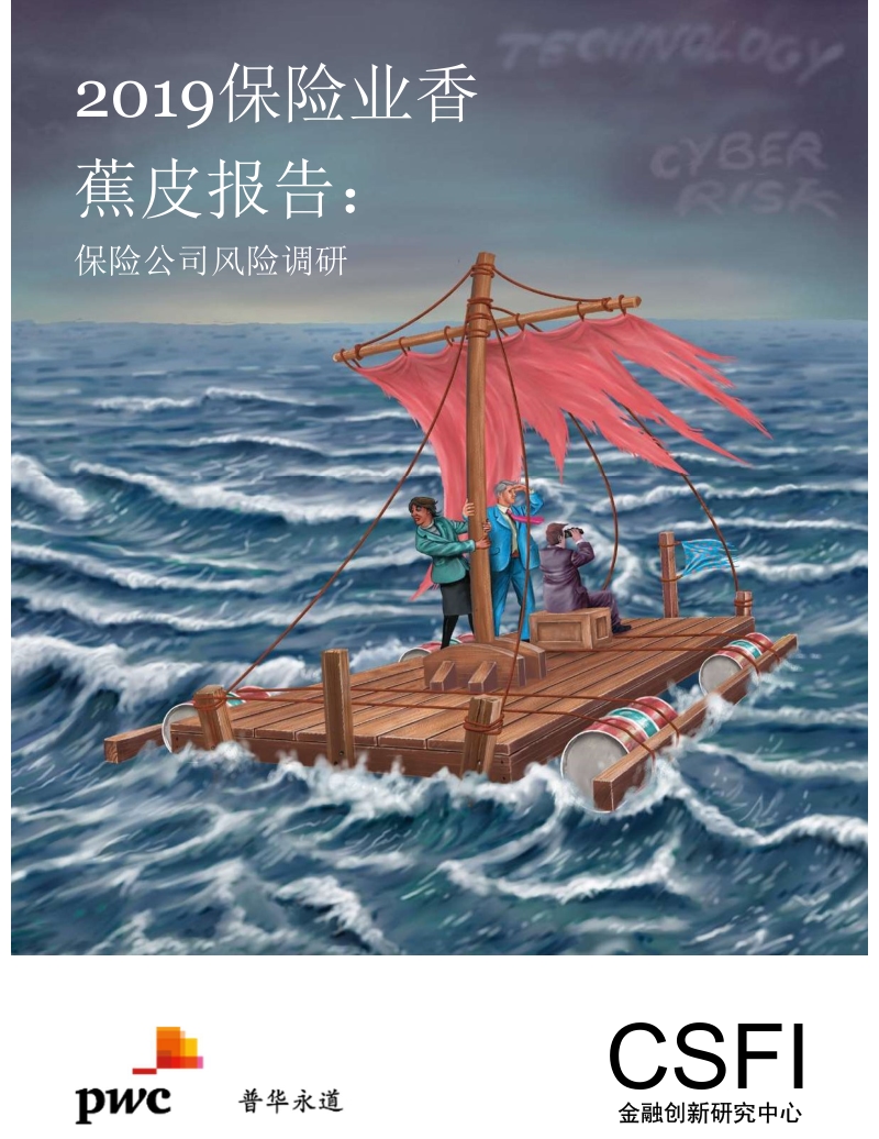 2019保险业香蕉皮报告：保险公司风险调研.pdf_第1页