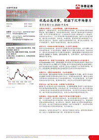 商贸零售行业2020年策略：优选必选消费，挖掘下沉市场潜力.pdf
