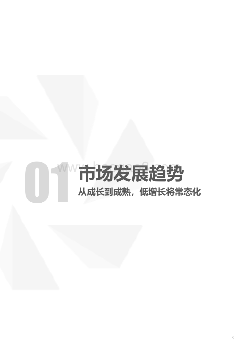 2019中国汽车消费趋势报告.pdf_第5页