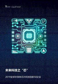 2019全球半导体芯片科技创新50企业.pdf