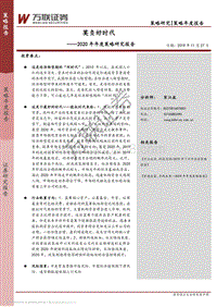 2020年年度策略研究报告：莫负好时代.pdf