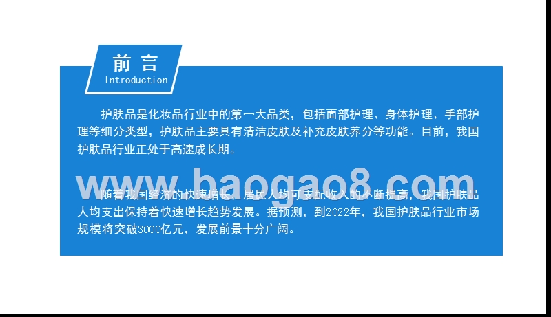 2020年中国护肤品行业投资前景研究报告.pptx_第2页
