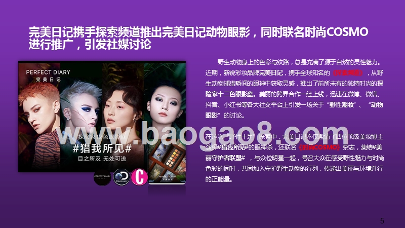 如何打造品牌爆款：以完美日记动物眼影为例.pptx_第5页