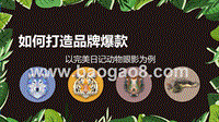 如何打造品牌爆款：以完美日记动物眼影为例.pptx