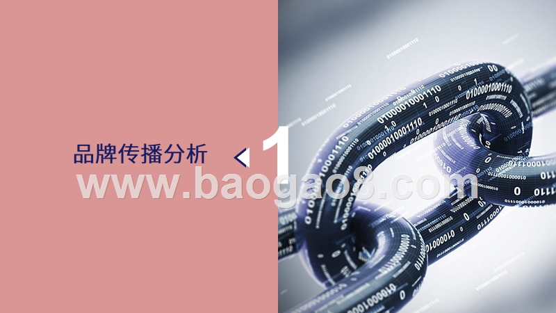 2019-2020半亩花田品牌发展研究报告.pptx_第3页