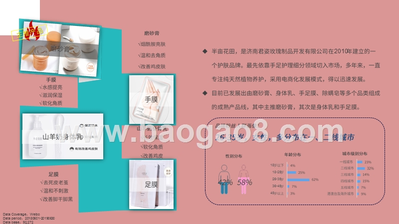 2019-2020半亩花田品牌发展研究报告.pptx_第5页