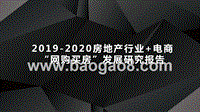 2019-2020房地产行业+电商“网购买房”发展研究报告.pptx