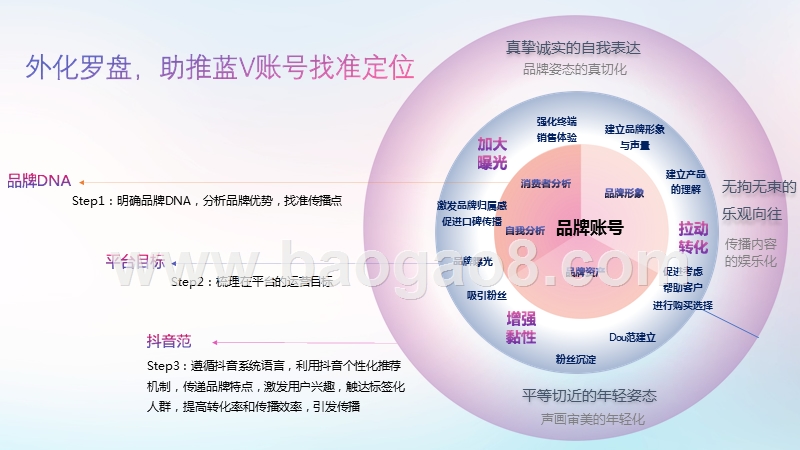 2019-2020抖音蓝V账号定位及外化罗盘分析报告.pptx_第3页
