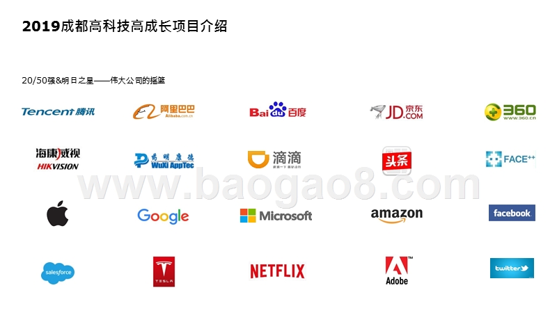 2019-2020成都高科技高成长20强报告.pptx_第4页