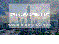 2019-2020湖南城投分析报告.pptx