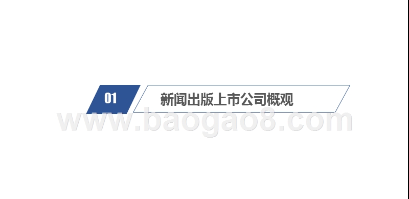 2019-2020新闻出版上市公司年度绩效数据报告.pptx_第3页