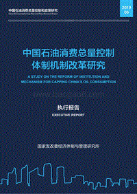 中国石油消费总量控制体制机制改革研究.pdf