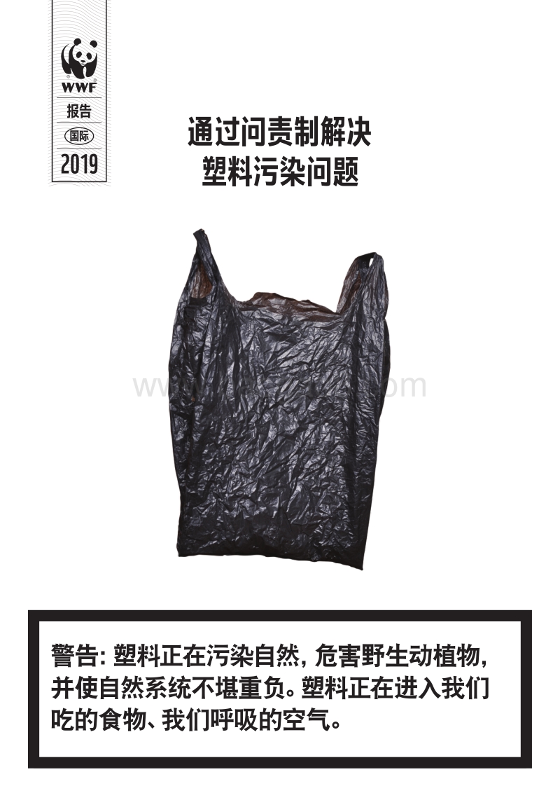 通过问责制解决塑料污染问题.pdf_第1页