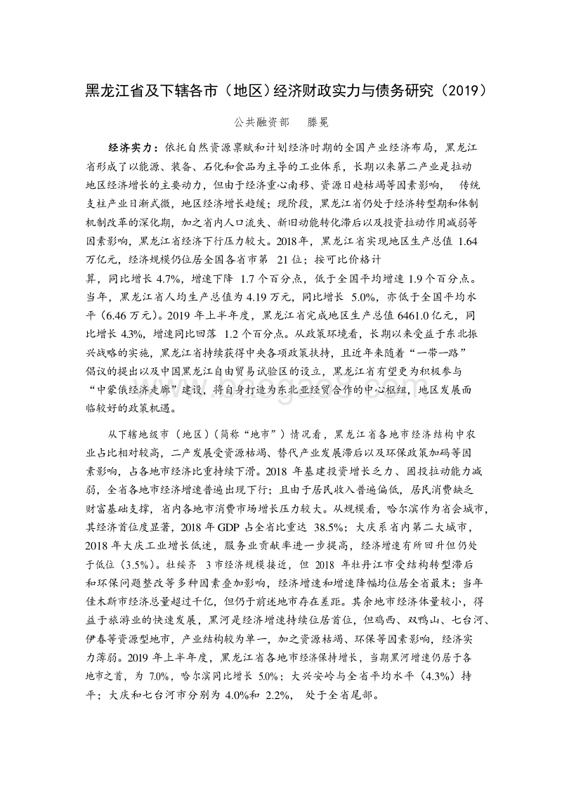 2019黑龙江省及下辖各市地区经济财政实力与债务研究报告.docx_第1页