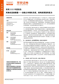 宏观2020年度报告：风物长宜放眼量——决胜之年增长无忧，结构改革亟待发力.pdf