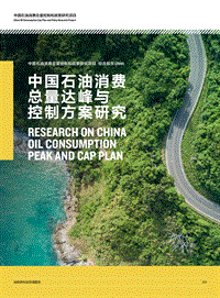 中国石油消费总量达峰与控制方案研究.pdf