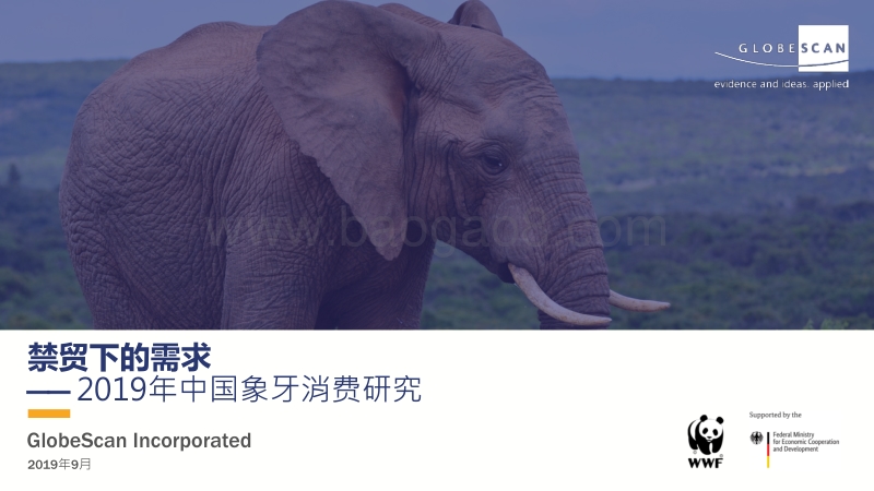 2019年中国象牙消费研究.pdf_第1页