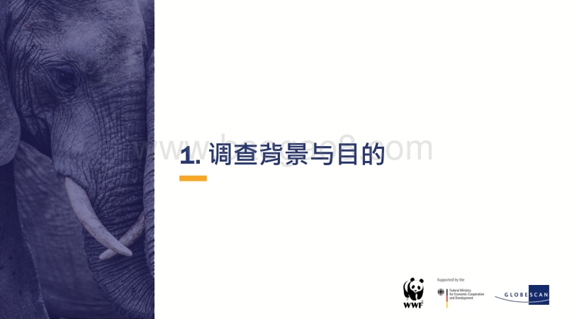 2019年中国象牙消费研究.pdf_第4页